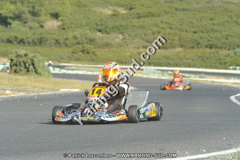DSC (4121).JPG